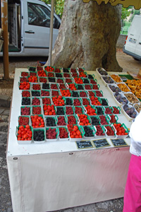 Fresh berries for sale in the Dordogne region