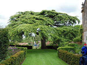 Enjoy beautiful English gardens on the Springtime Gardens Tour